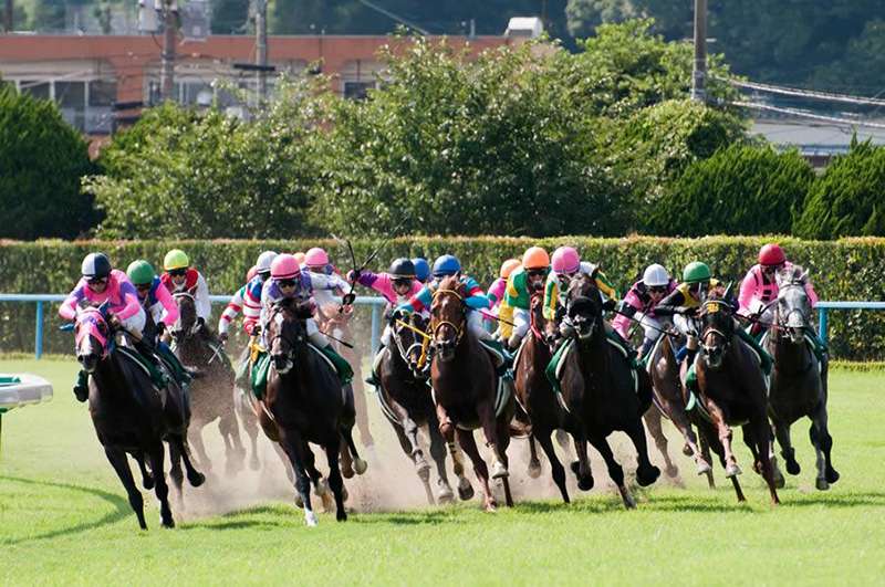 ギャンブルの還元率 競馬